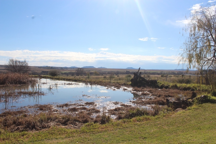 6 Bedroom Property for Sale in Aliwal North Eastern Cape